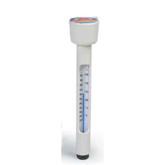 Rainbow Thermometer Floating Bub Pack 133