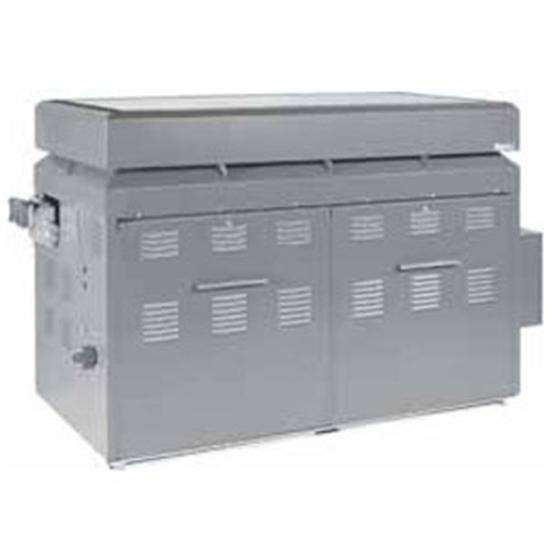 Raypak 1178 Commercial Gas Pool Heater Natural Gas Outdoor - P1178N