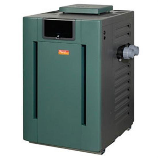 Raypak 332K BTU Milivolt Residential Propane Heater - 009920