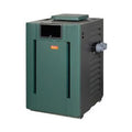 Raypak 399K BTU Digital Asme Commercial Propane Heater - 009279