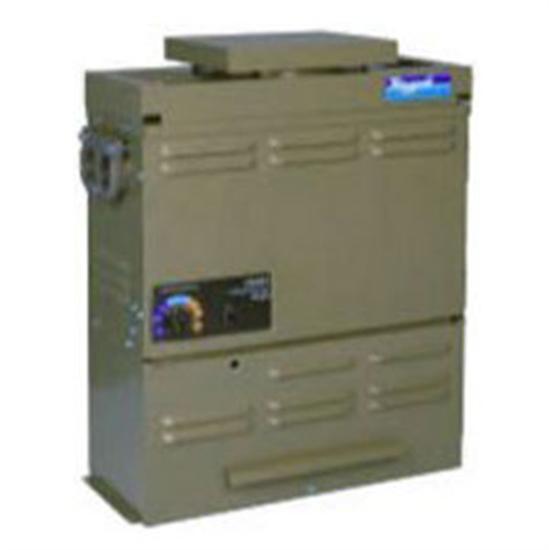 Raypak 50K BTU Versa 055 Propane Heater For Indoor And Outdoor - 004684