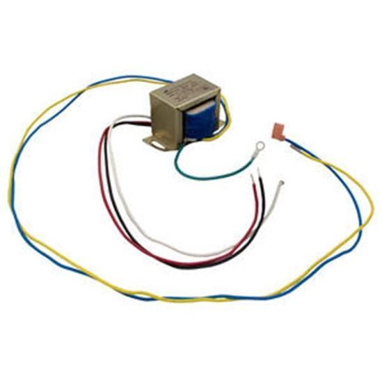 Raypak Heater Transformer