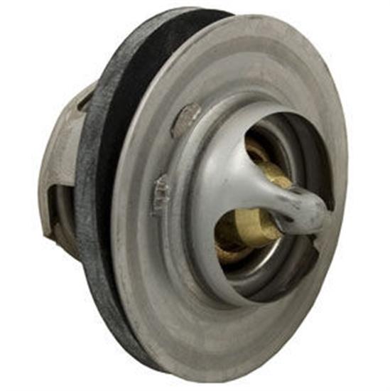 Raypak Heater Unitherm Governor