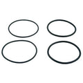 Raypak O-Ring Kit 2 Set - O31
