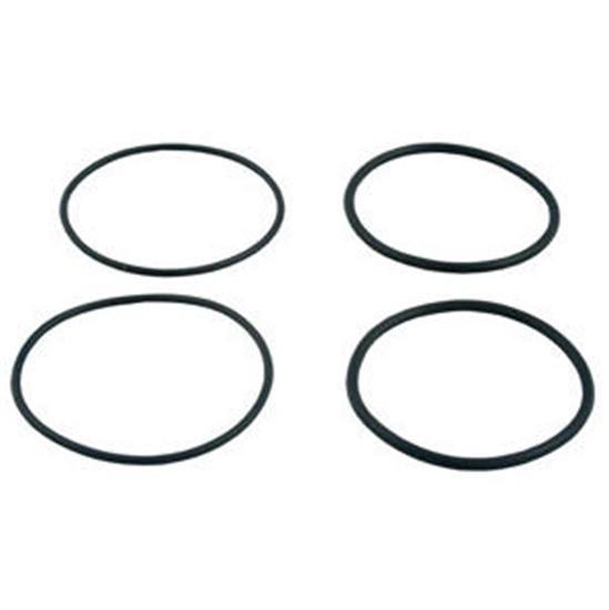 Raypak O-Ring Kit 2 Set - O31