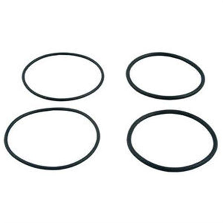 Raypak O-Ring Kit 2 Set - O31