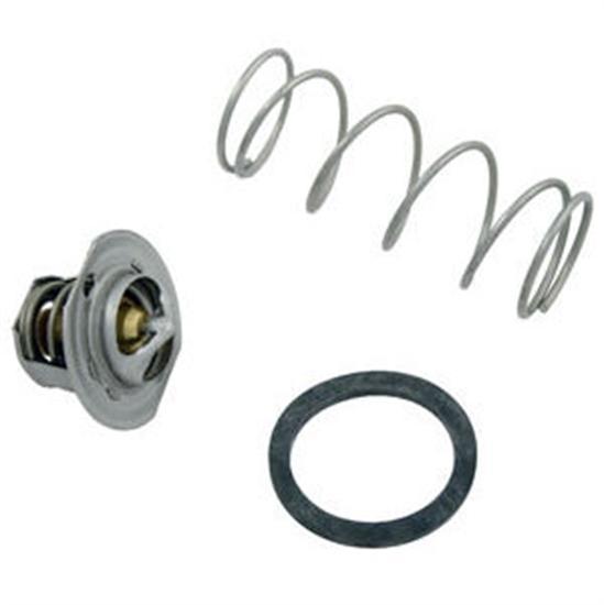 Raypak Unitherm Governor-1