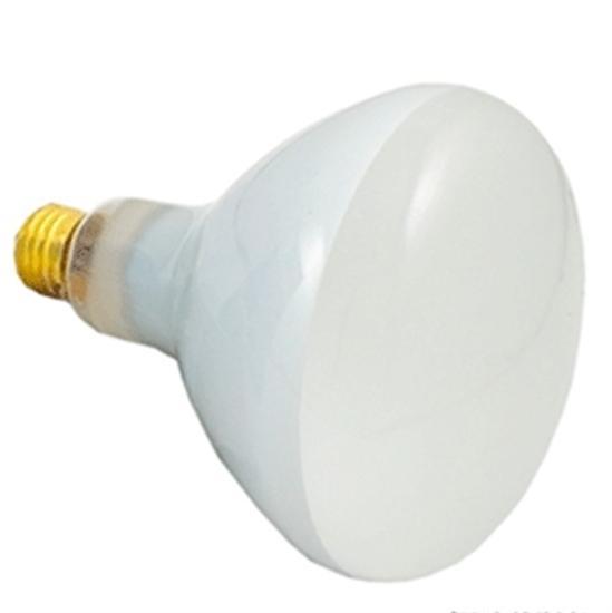Replacement Pool Light Bulb 300W Flood R-40 - 12V