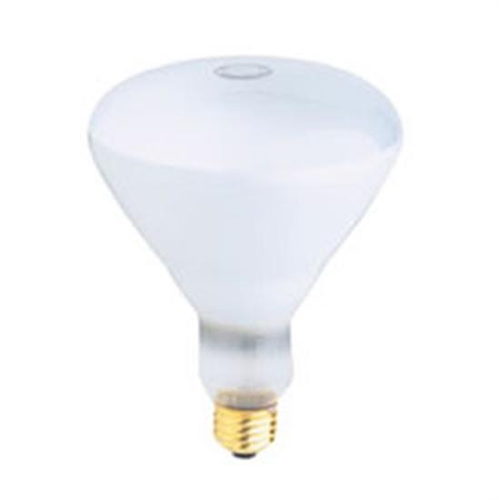 Replacement Pool Light Bulb 500W Flood R-40 - 130V