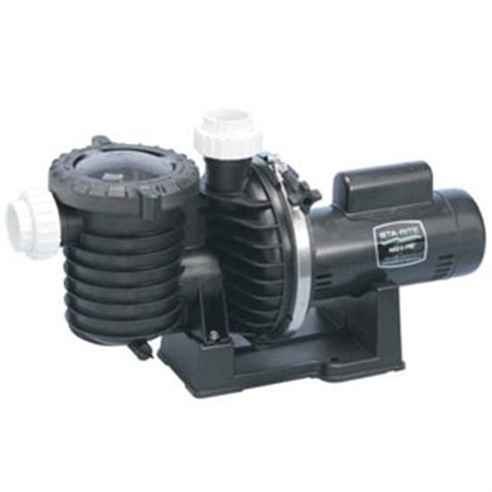 Sta-Rite 1.5 HP Max-e-Pro Uprated Pump - P6RA6F206L