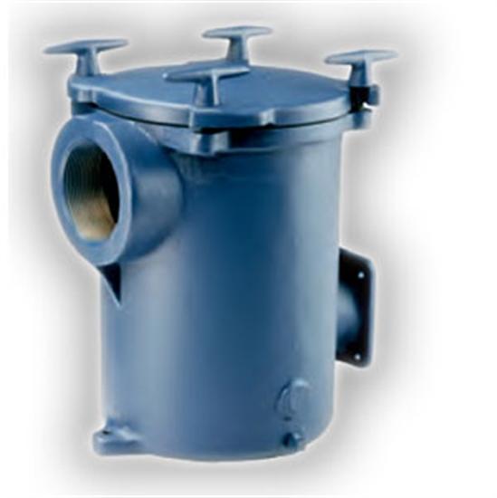 Sta-Rite 8" Cast Iron Trap With Basket