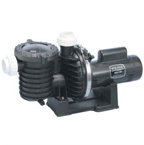 Sta-Rite Bronze Pump 1HP 115-230V