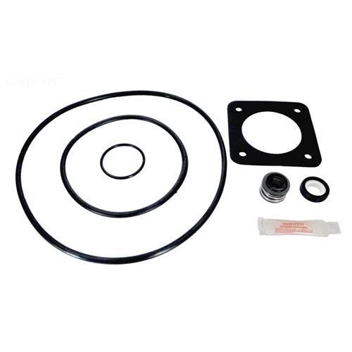 Sta-Rite Dura-Glas-Max-E-Glas Rebuild Kit - 1998 thru Present