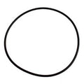 Sta-Rite Dura-Glas Seal Plate O-Ring