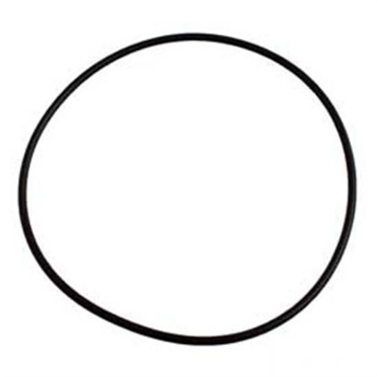 Sta-Rite Dura-Glas Seal Plate O-Ring
