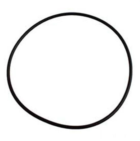 Sta-Rite Dura-Glas Seal Plate O-Ring