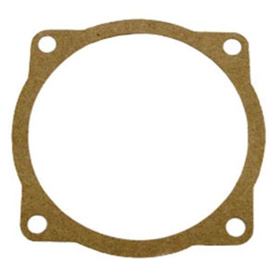 Sta-Rite Gasket
