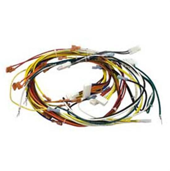 Sta-Rite Heater Wiring Harness