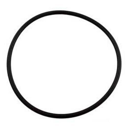 Sta-Rite O-Ring PG-MP