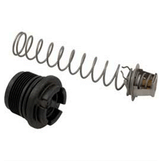 Sta-Rite Max-E-Therm Thermal Regulator Kit