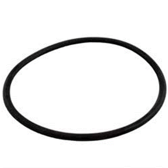 Sta-Rite Maxe-Dura 5" Trap Lid Oring