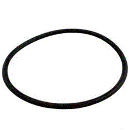 Sta-Rite Maxe-Dura 5" Trap Lid Oring