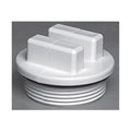 Waterway 2" Plug With O-Ring - White