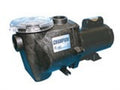 Waterway Champion In-Ground Pool Pump 2 1/2 HP