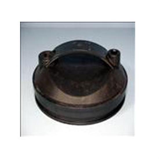 Waterway Top Load Filter Lid